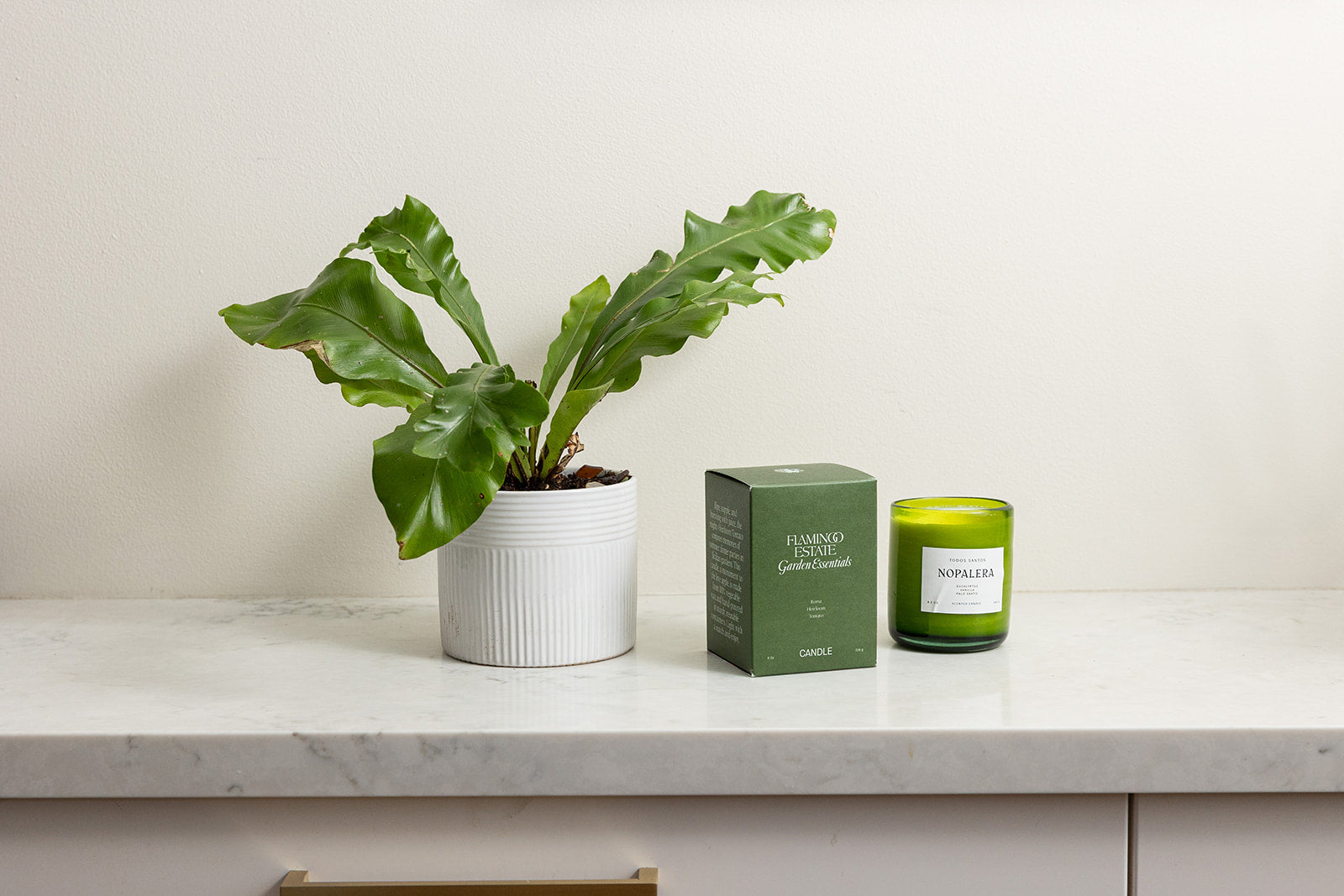 Healing in the Kitchen Gift Box