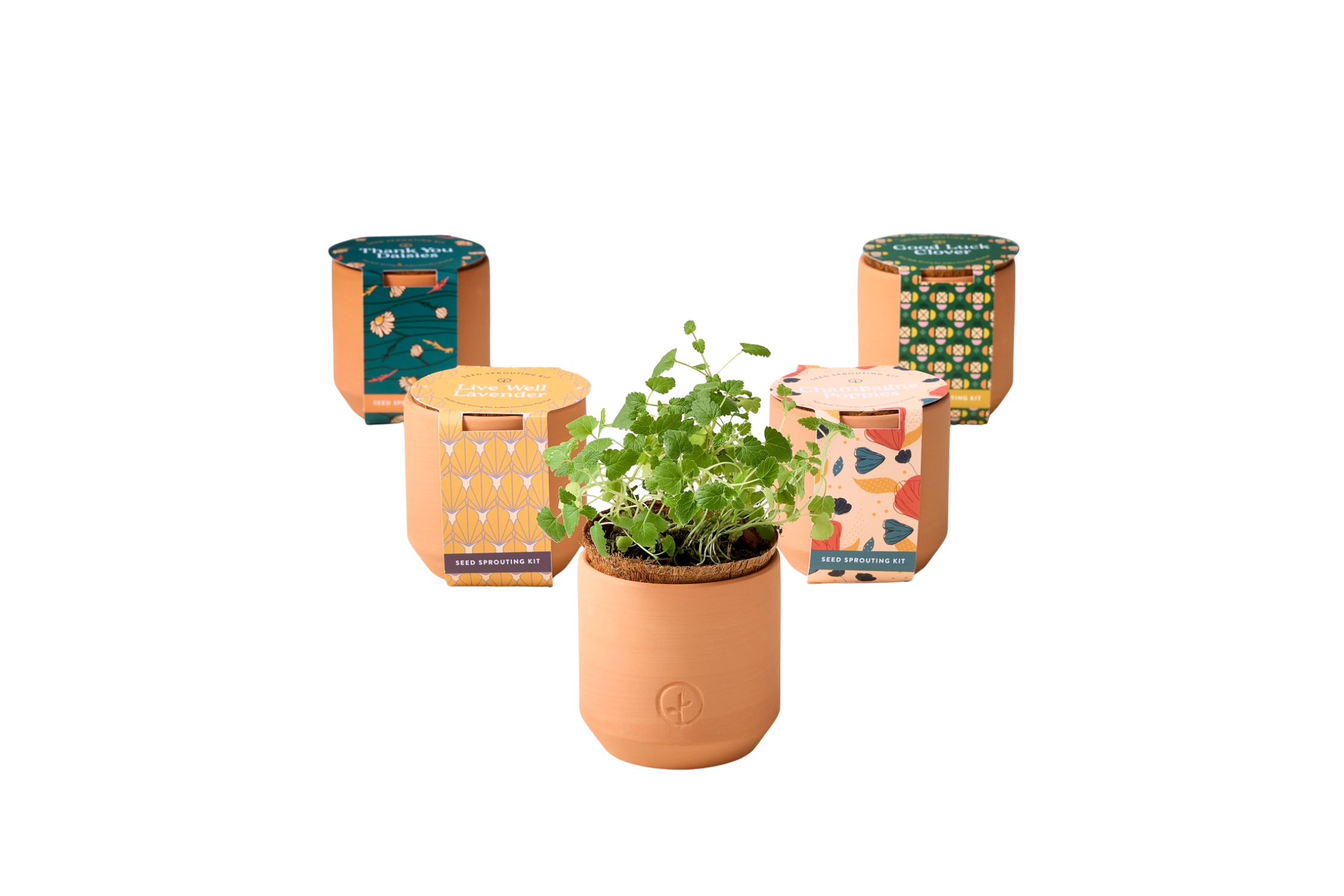 MQ Modern Terracotta Plant
