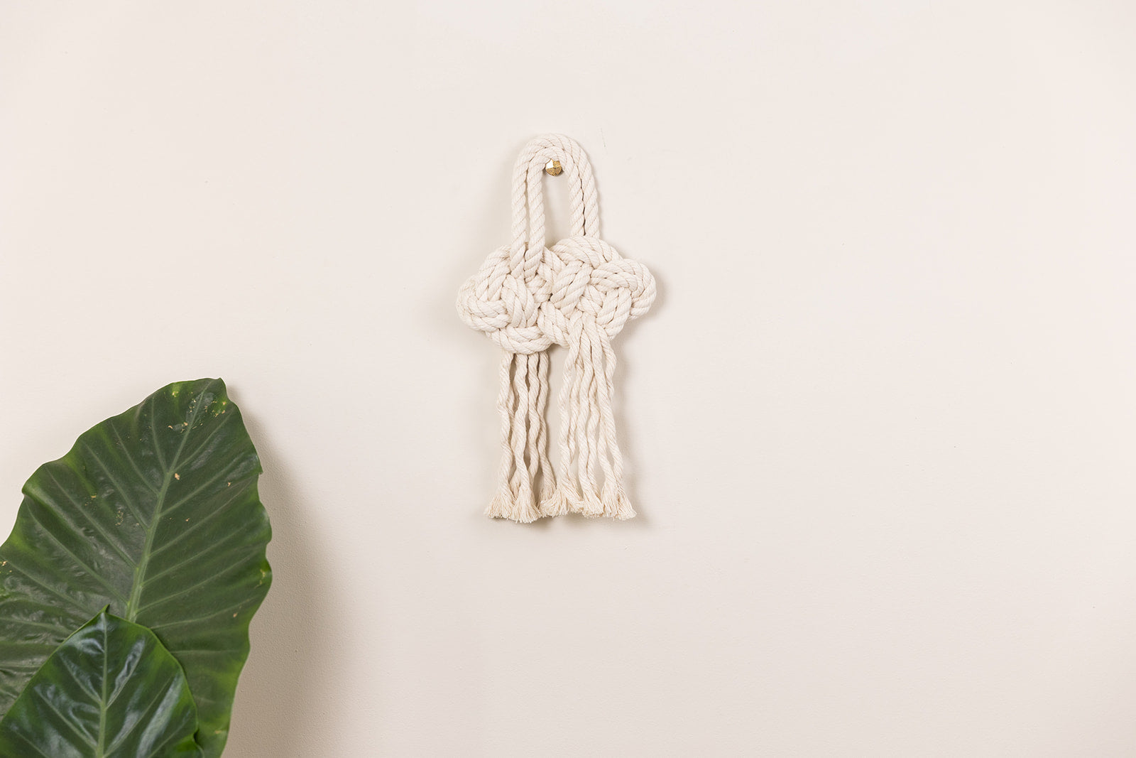 The Redwood Retreat Collection