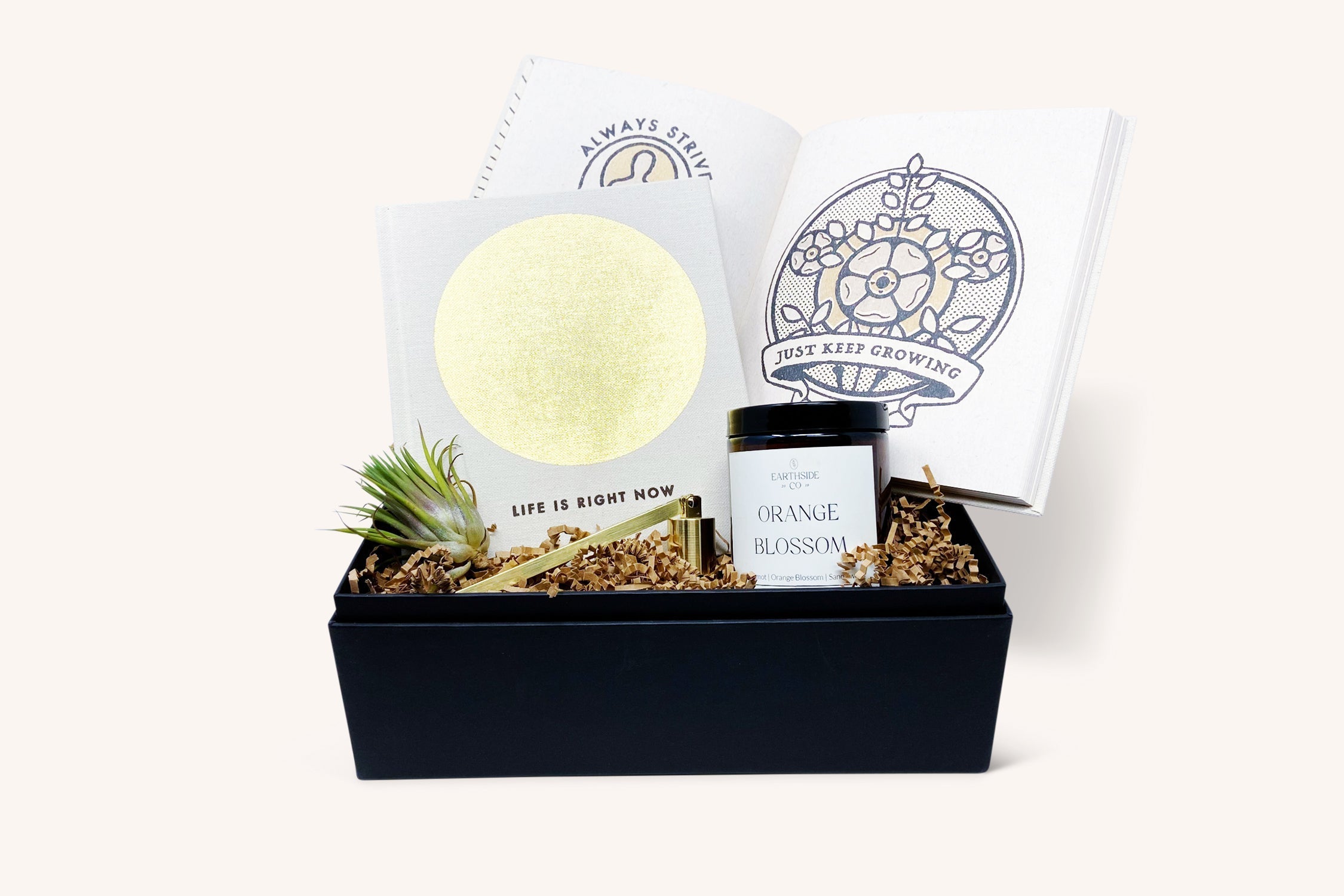 Meditation Gifts