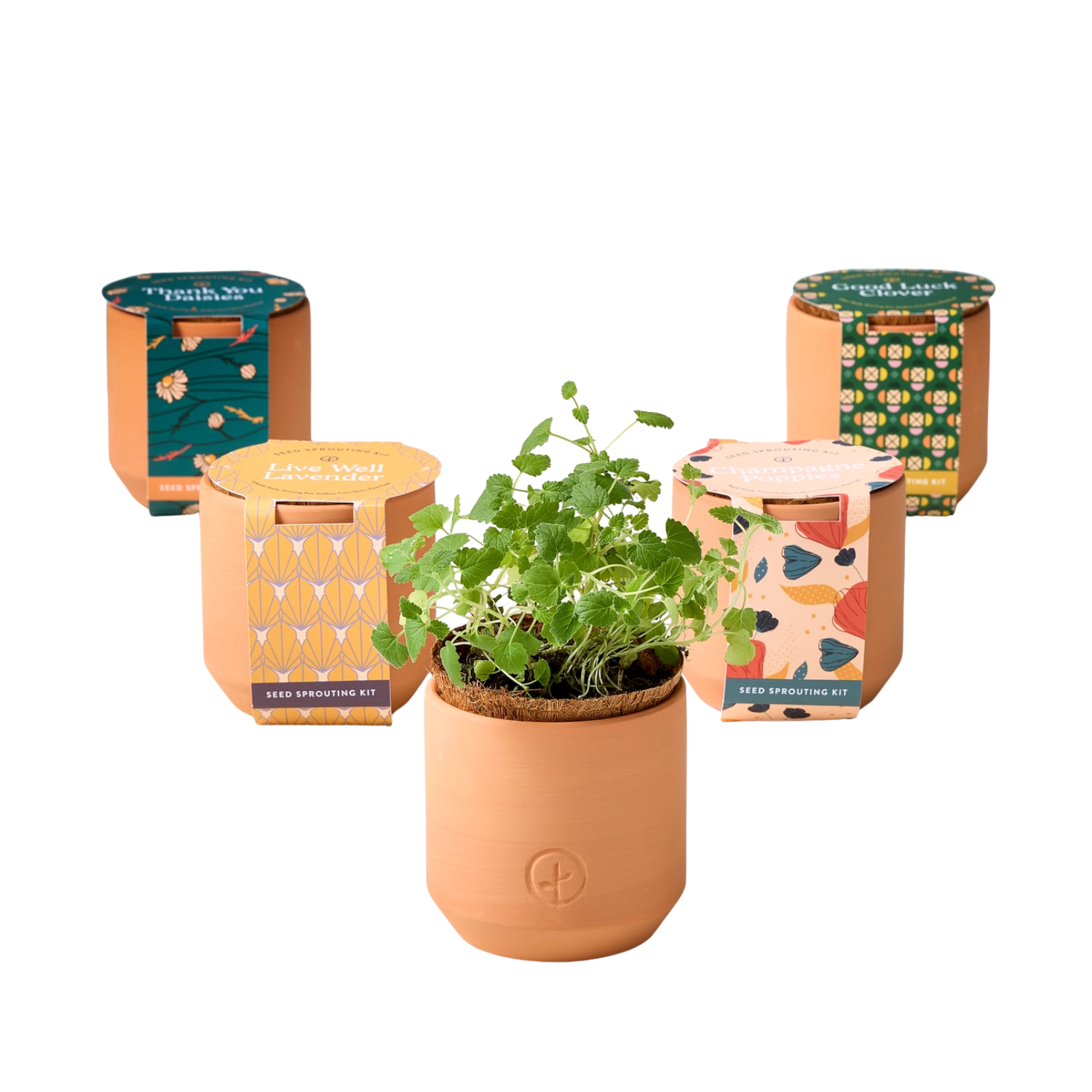 MQ Modern Terracotta Plant