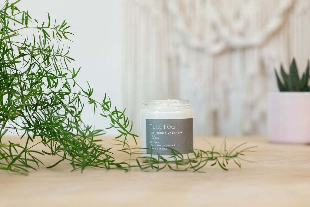 Work Wellness: Sprig